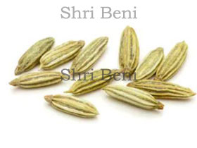 Ani Seed